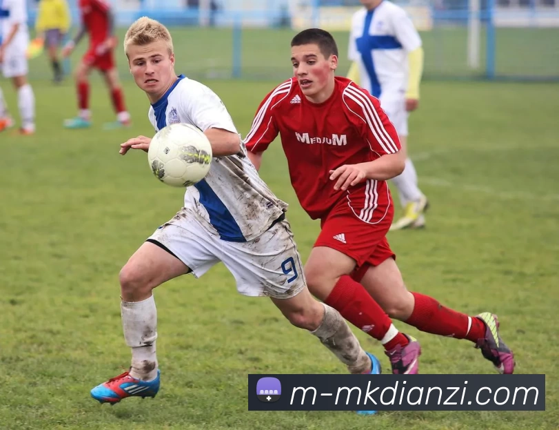 MK电子平台生态图